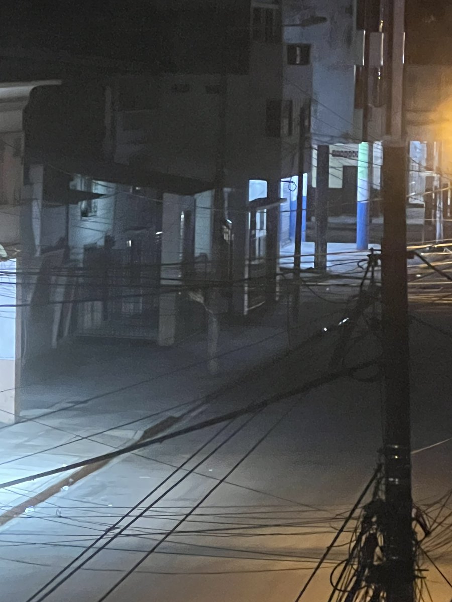 Ana Patricia Woelke tweet media