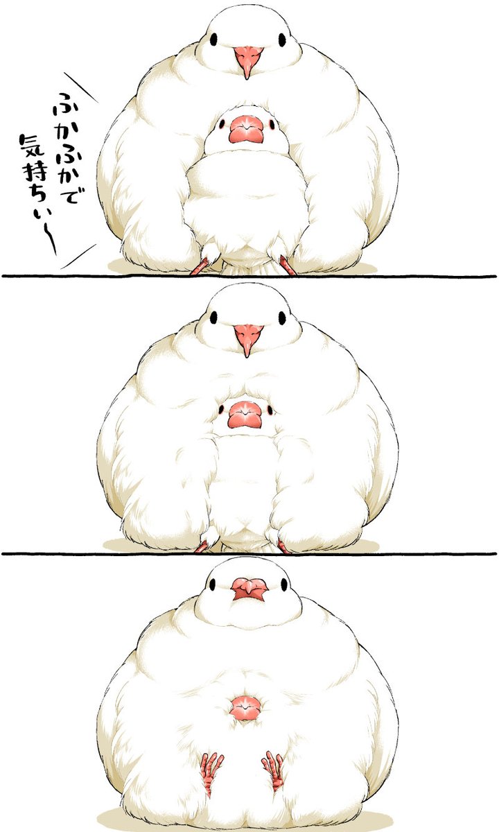 初丸うげべそ🐥『ちゅんトーク④』4/3発売 tweet media