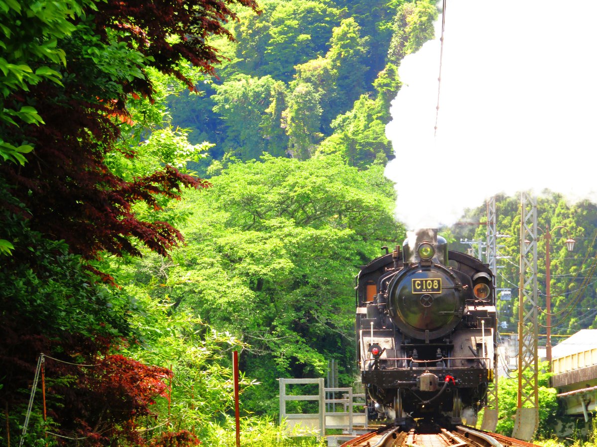 貴婦人 大井川鐵道のSL,EL急行列車の旅人 tweet media