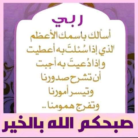 ابو احمد سيد احمد tweet media