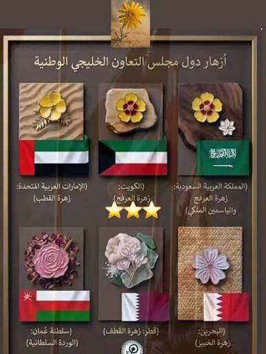 Dr.Abdullah Almashan tweet media