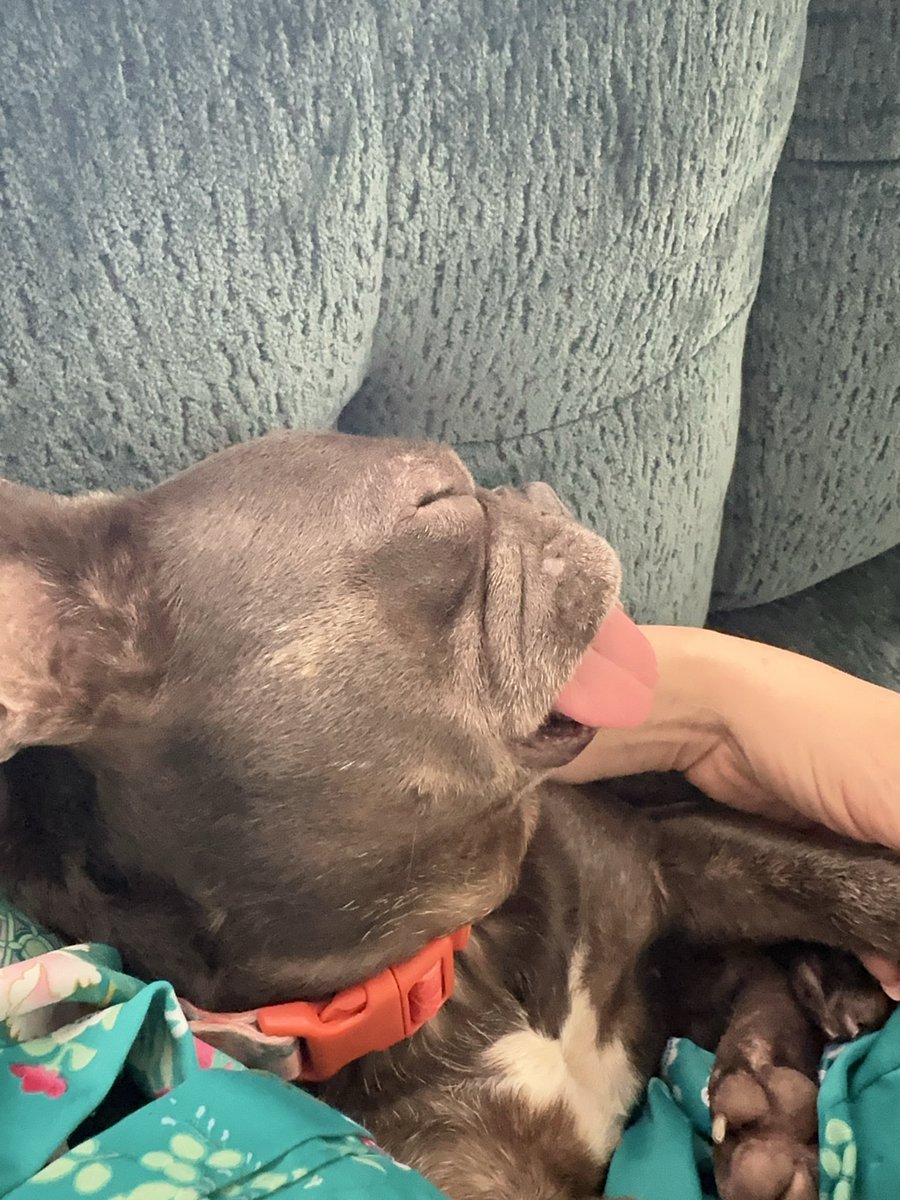 Dolly Marlowe 💋 tweet media