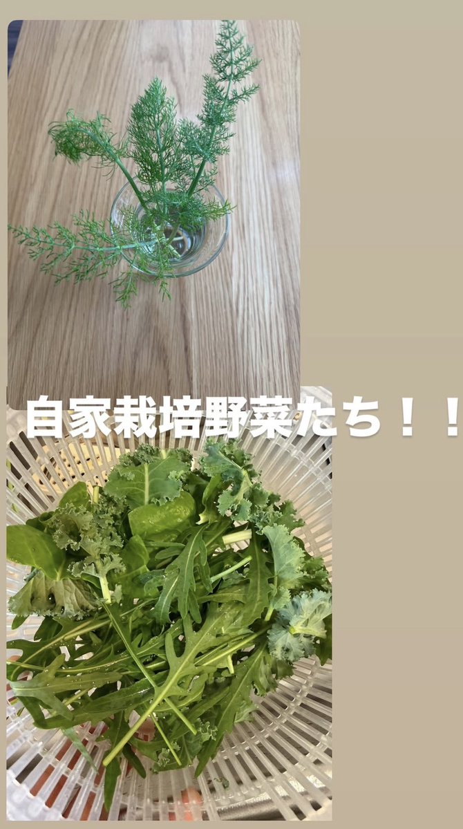 나의쇼타임 tweet media