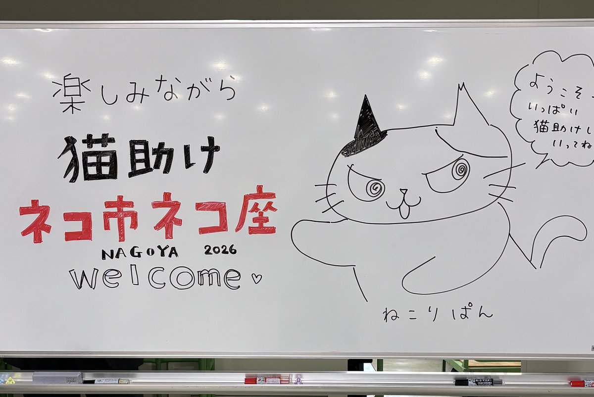 ネコ市ネコ座 @名古屋 始まりました✨ #猫ピッチャー 出展中❗️ A5