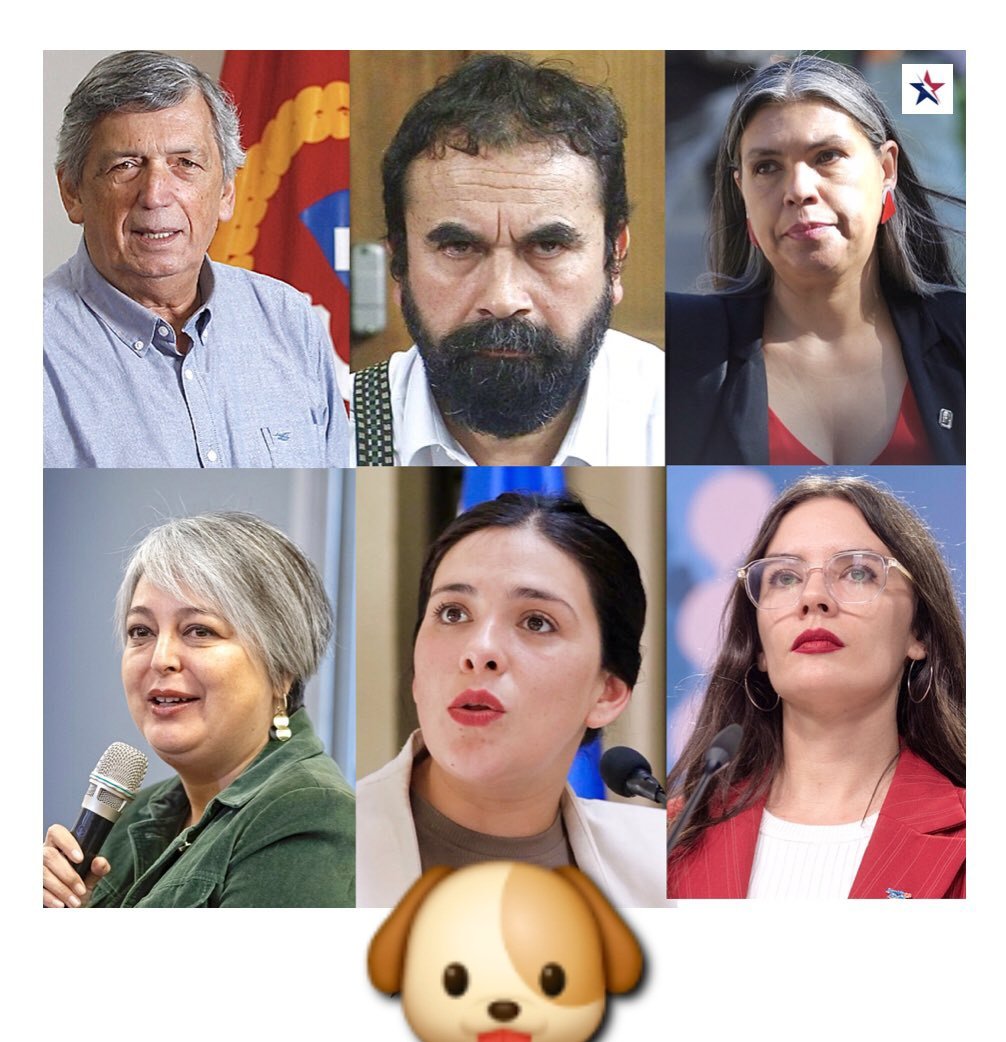 Pedro Montecinos tweet media