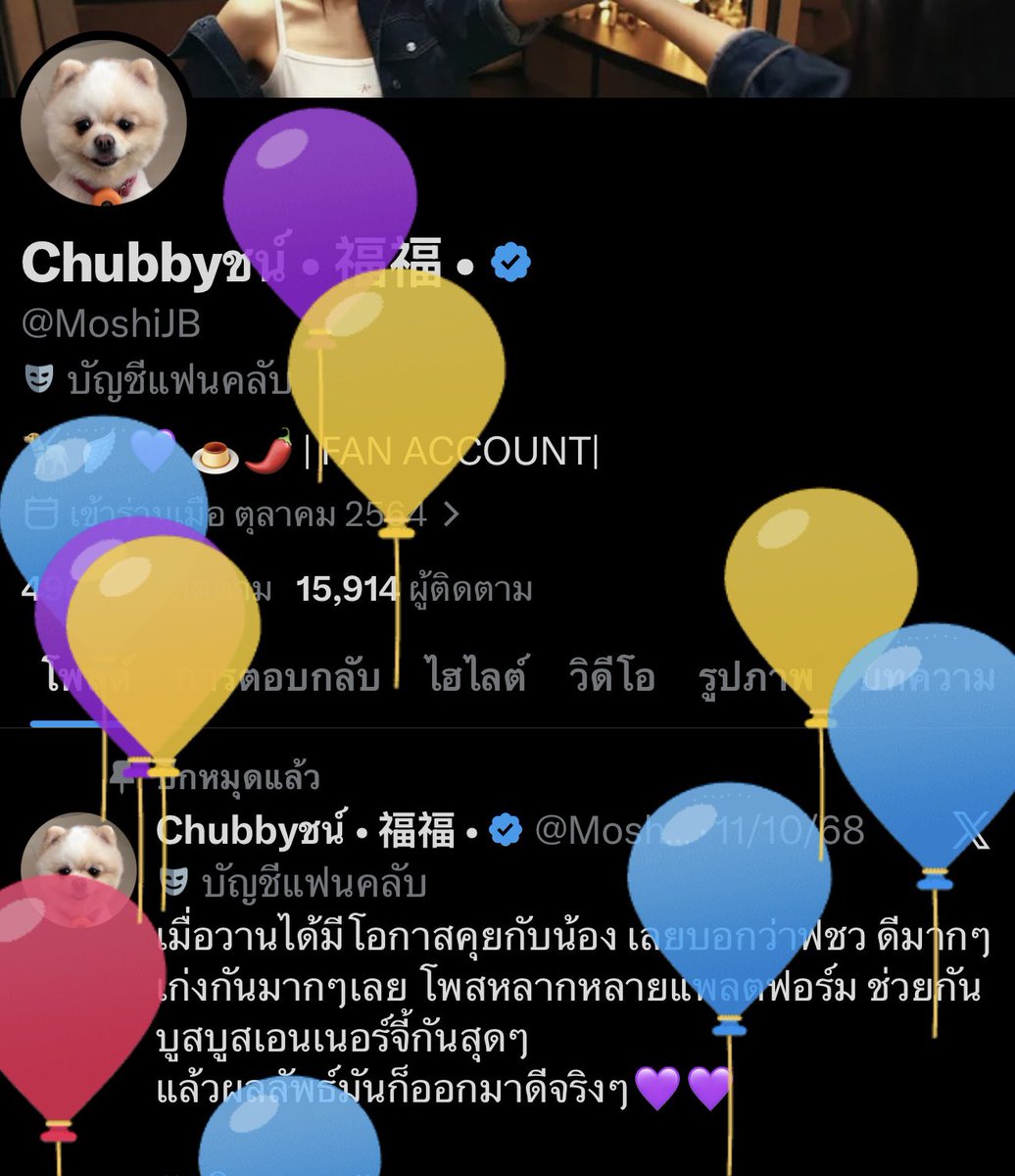 Chubbyชน์ • 福福 • tweet media