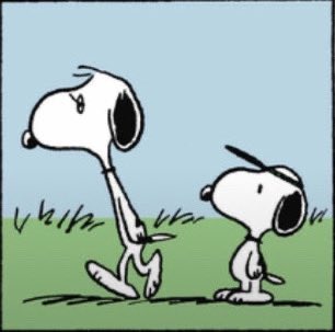 dani | new account tweet media