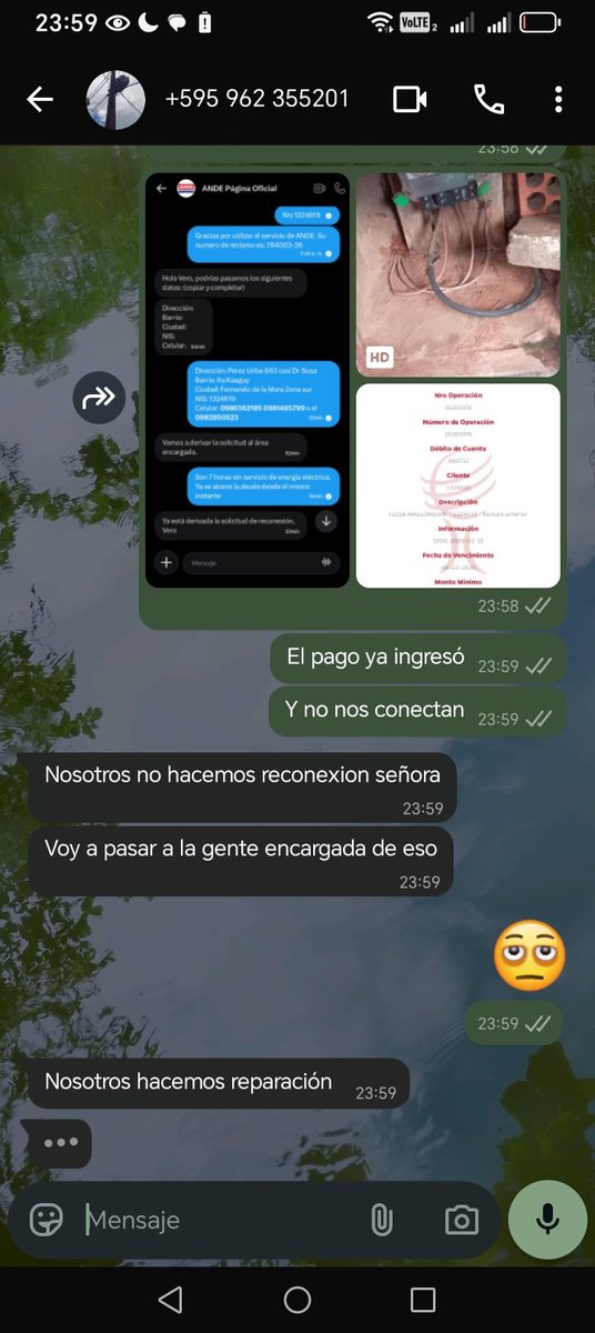 Vero tweet media