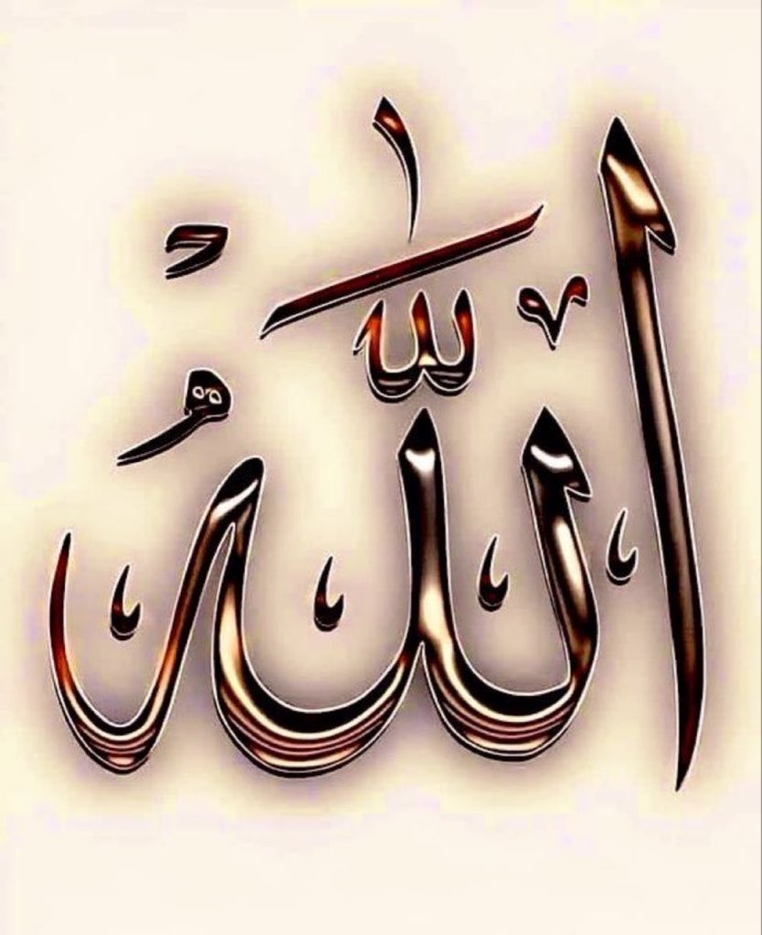 محمد عاطف مغل tweet media
