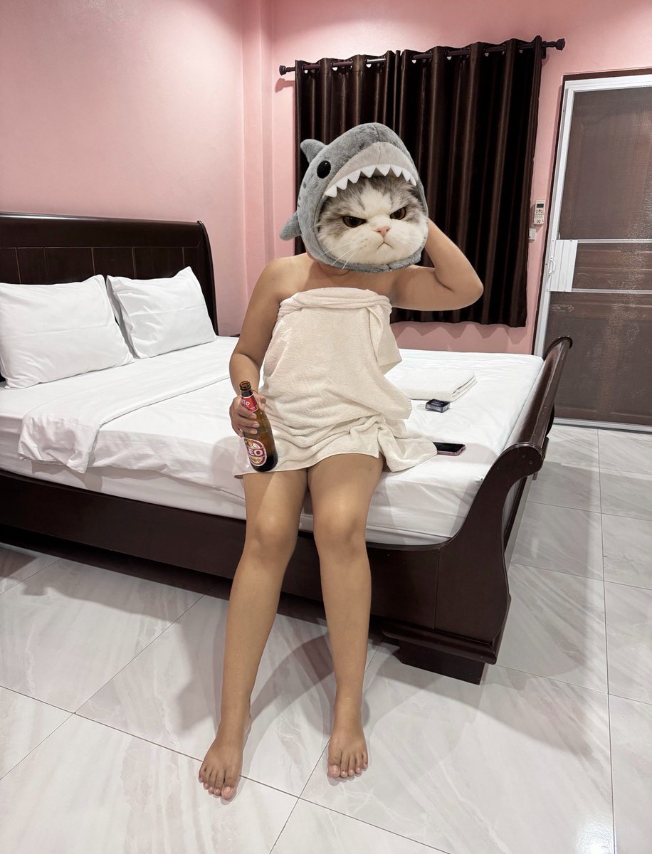 ทาสแมว888 tweet media