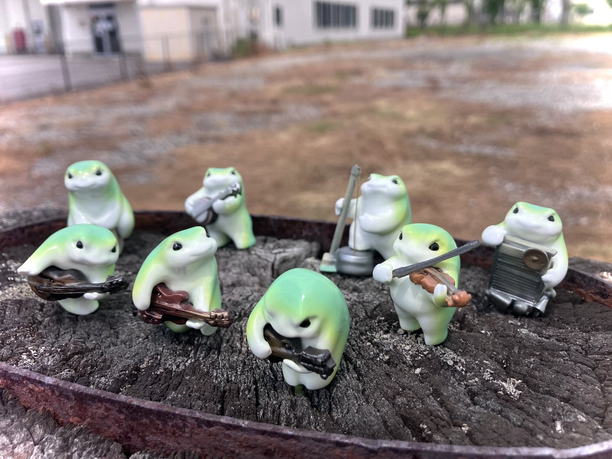＼THE FROG FAMILY JUG BAND／
                  🐸🐸🐸🐸

新メンバー追加✨️
左から、ピックギター、マンドリン、フィドル、セミアコです。

大所帯になってきた( *´艸`)

#Thefrogfamilyjugband
#俺今日からかえる