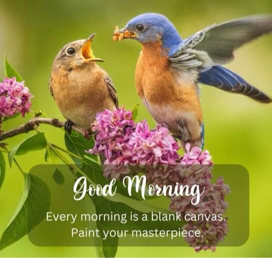 Neena Sinhaa (@neenasinha) on Twitter photo 