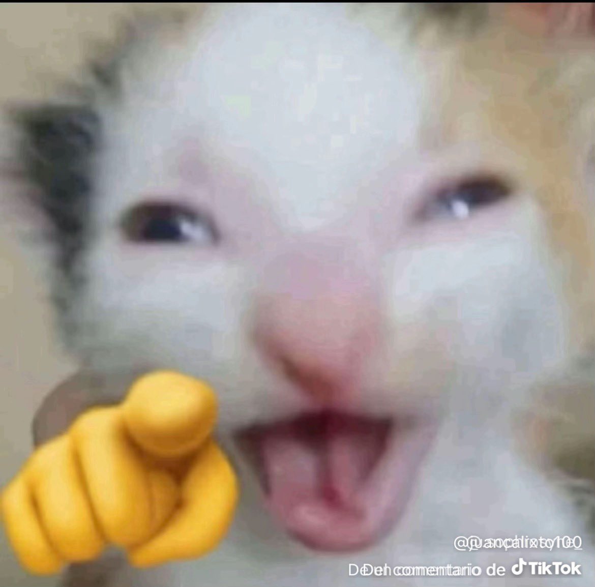 JoSeSiT0 🤠 tweet media