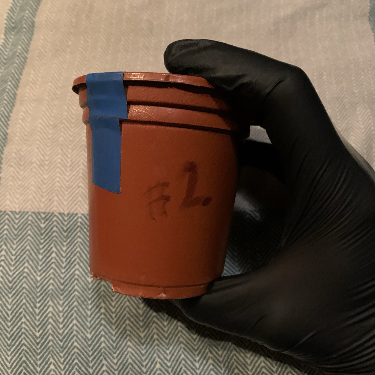 Skunk City Genetics tweet media