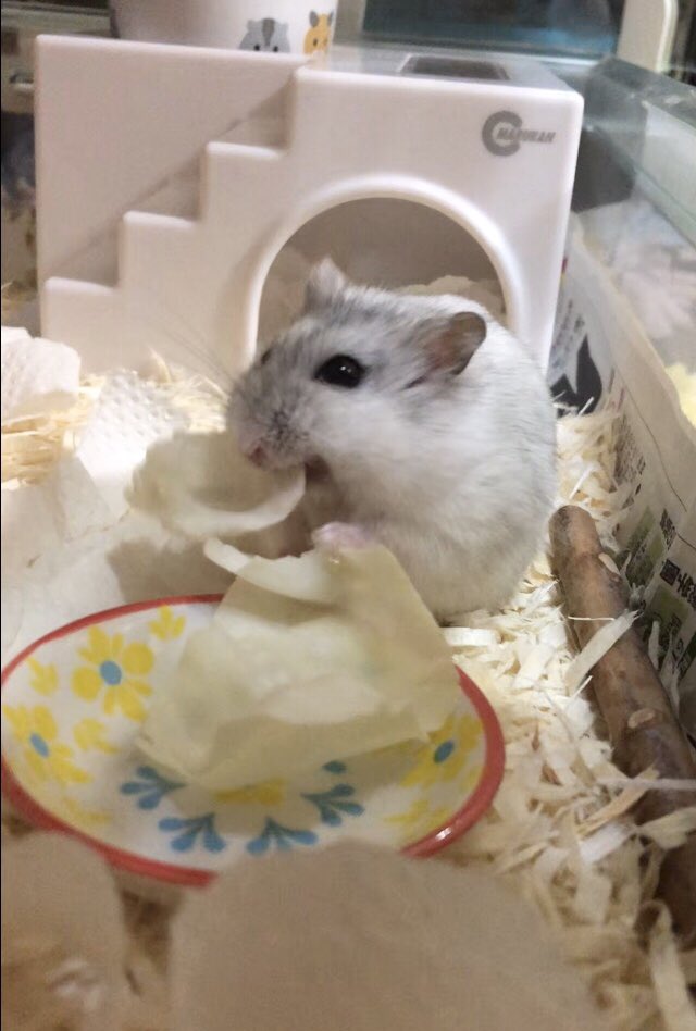 けぇこ🍆 tweet media