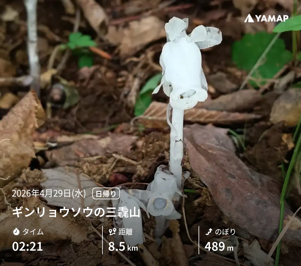 ギンリョウソウ咲いてました😀㊗️

ギンリョウソウの三毳山 yamap.com/activities/478… #YAMAP #山歩しよう