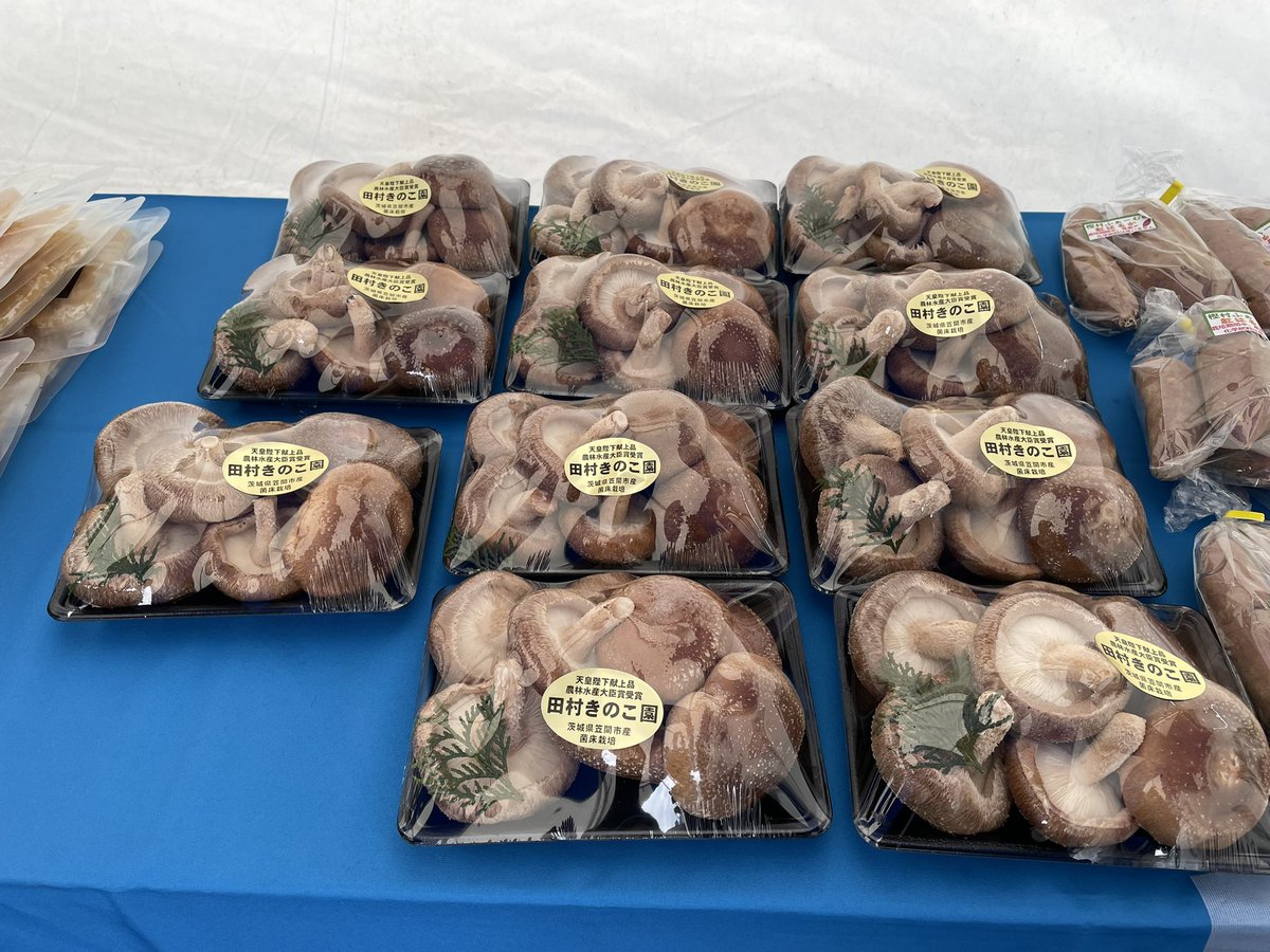 GRASS ROOTS FARM tweet media