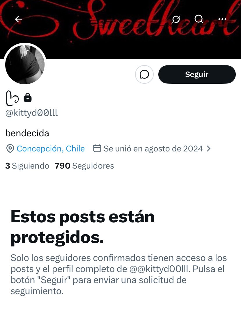 🐈‍⬛ tweet media