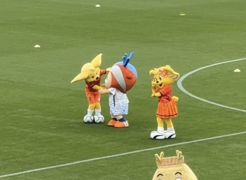 𝙢𝙚𝙜𝙪𝙢𝙞@🐥⸒⸒ tweet media