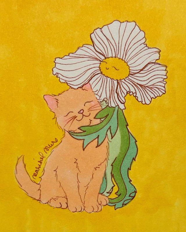 Marisol Muro tweet media