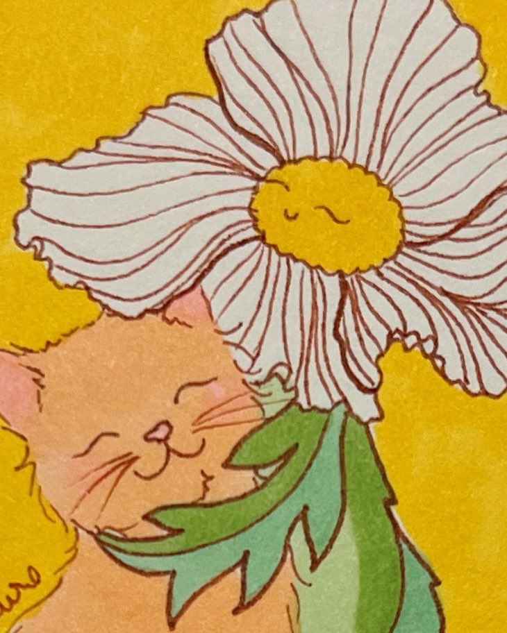 Marisol Muro tweet media