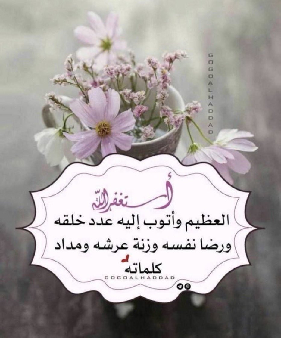 صالحه غالب tweet media