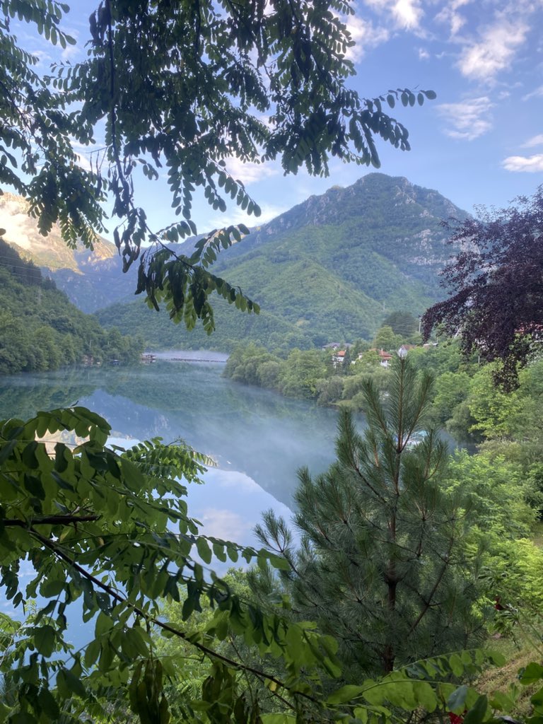 أبو لميس tweet media