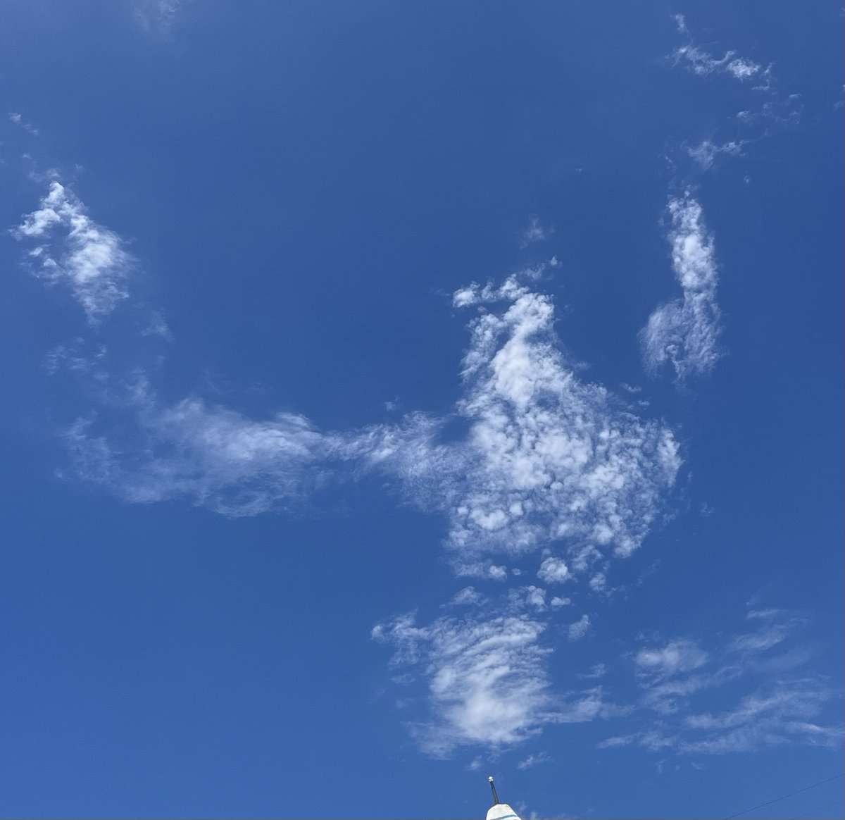 iblasted2009 tweet media