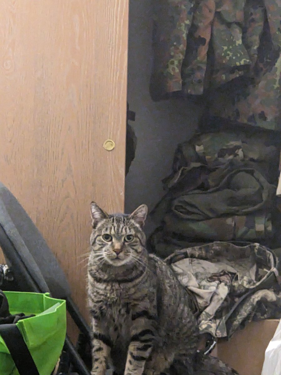 Spezz of Rezz tweet media