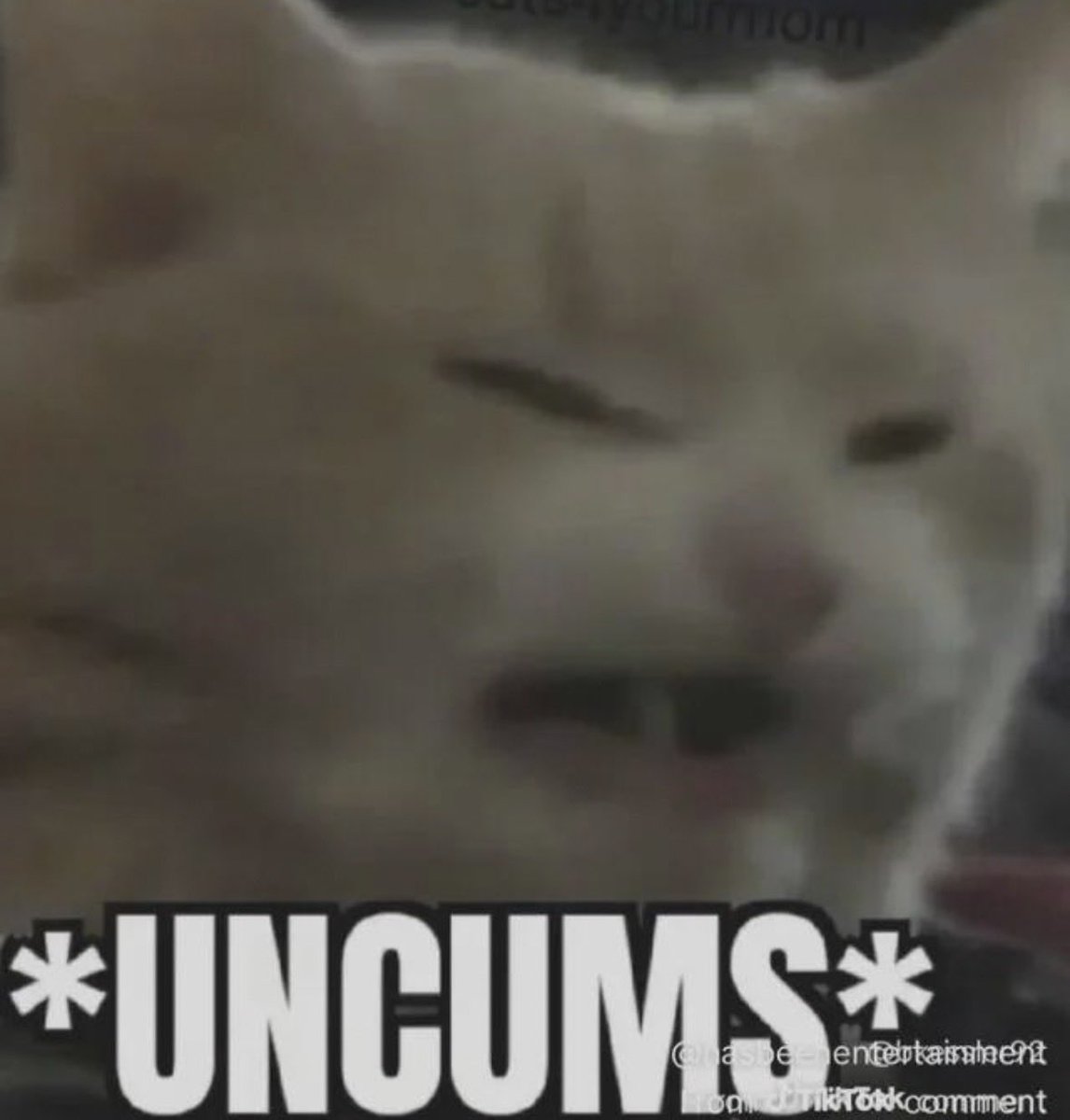 CrossingVaffy's tweet photo. @nocontextmemes https://t.co/9gJ2l4I0ny