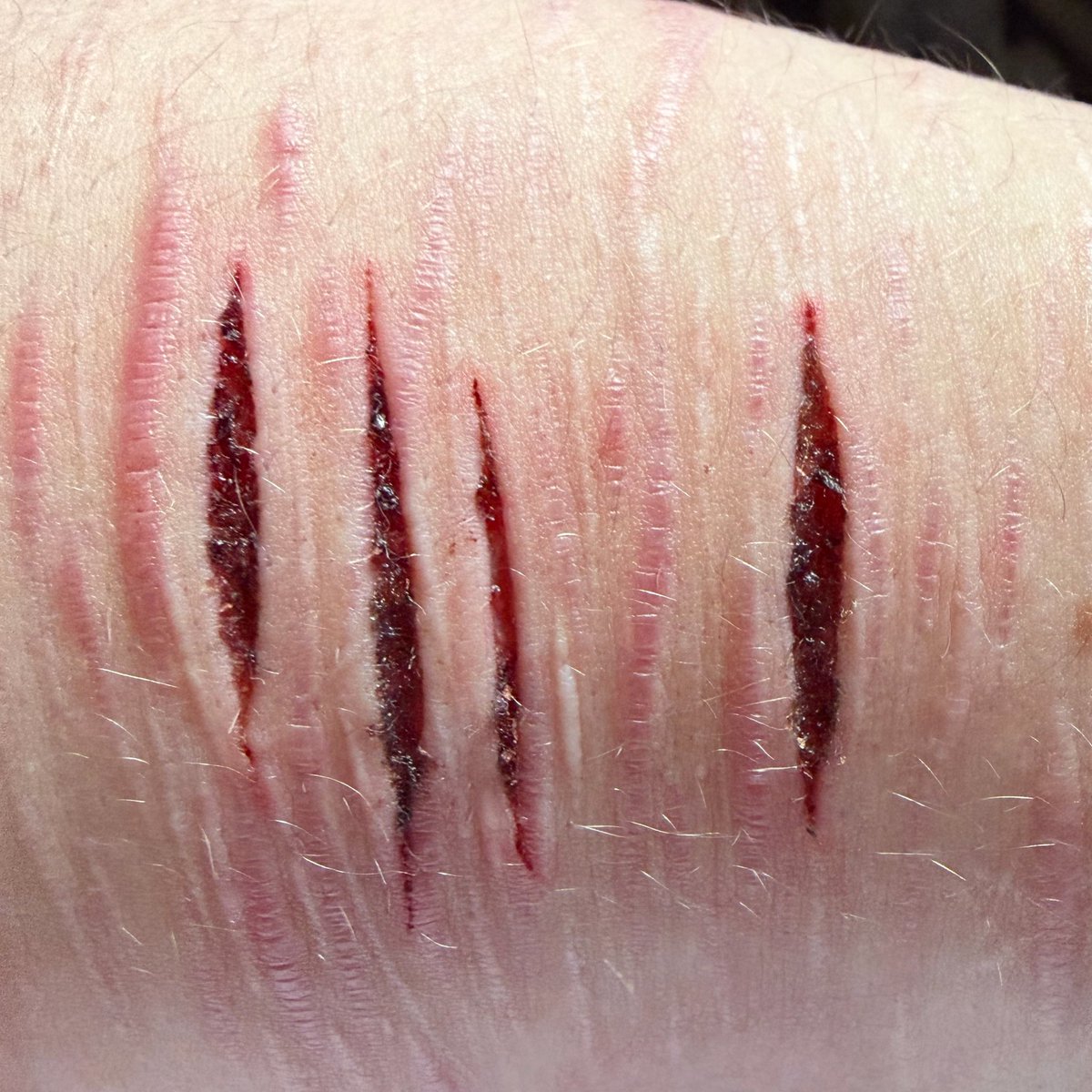 𝘿𝙖𝙫𝙞𝙙🏹 tweet media