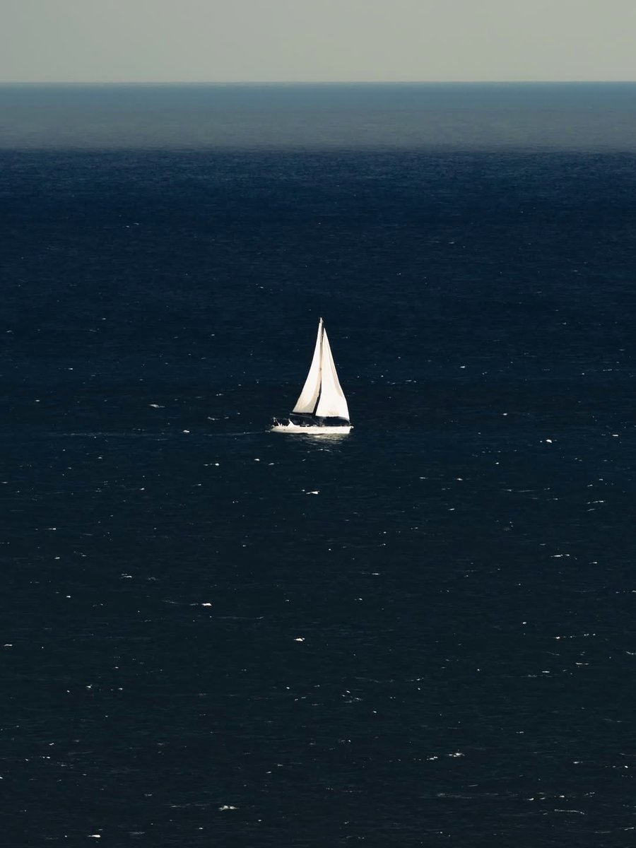 DelightMoments_'s tweet image. #sailing