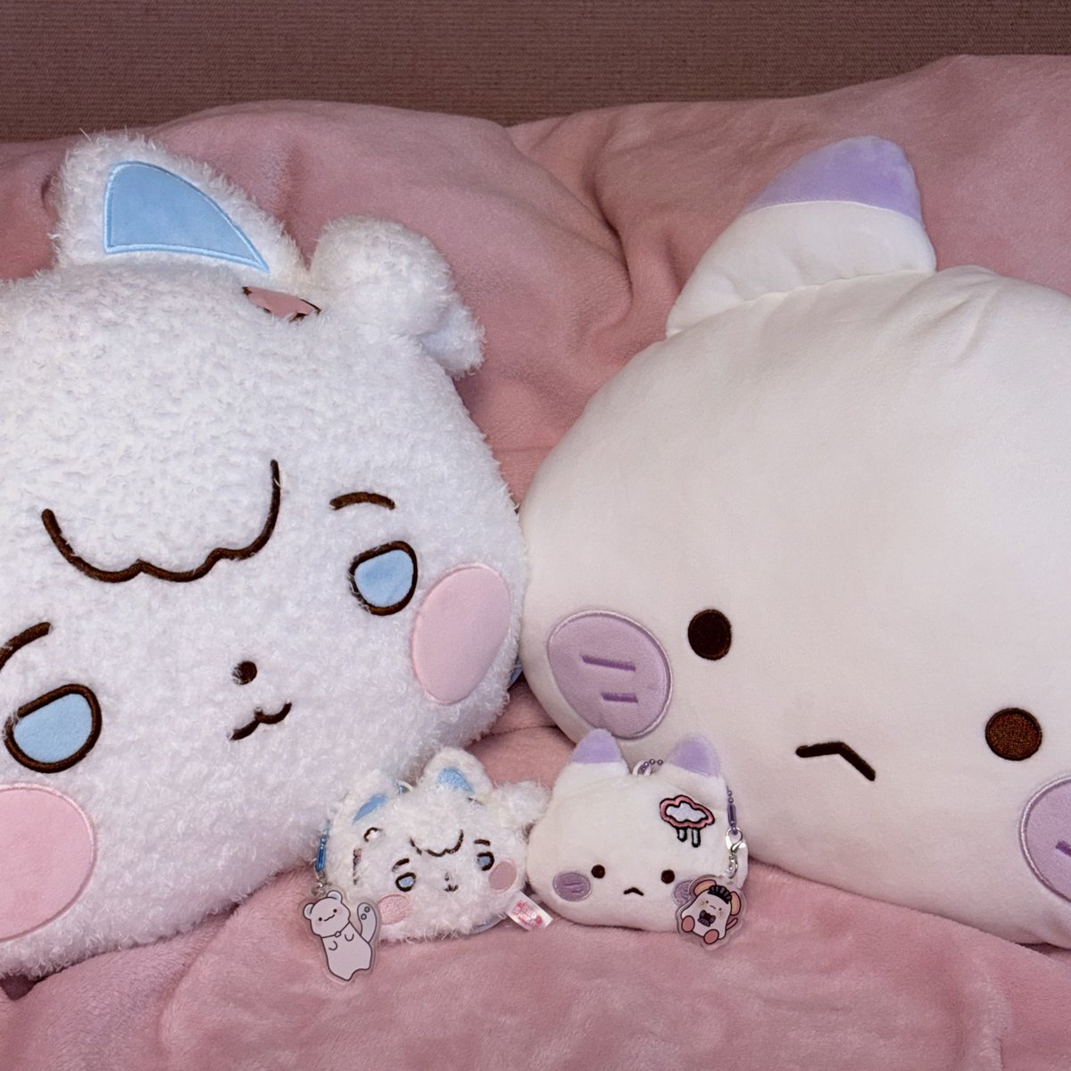 뵤햄이🍥 tweet media