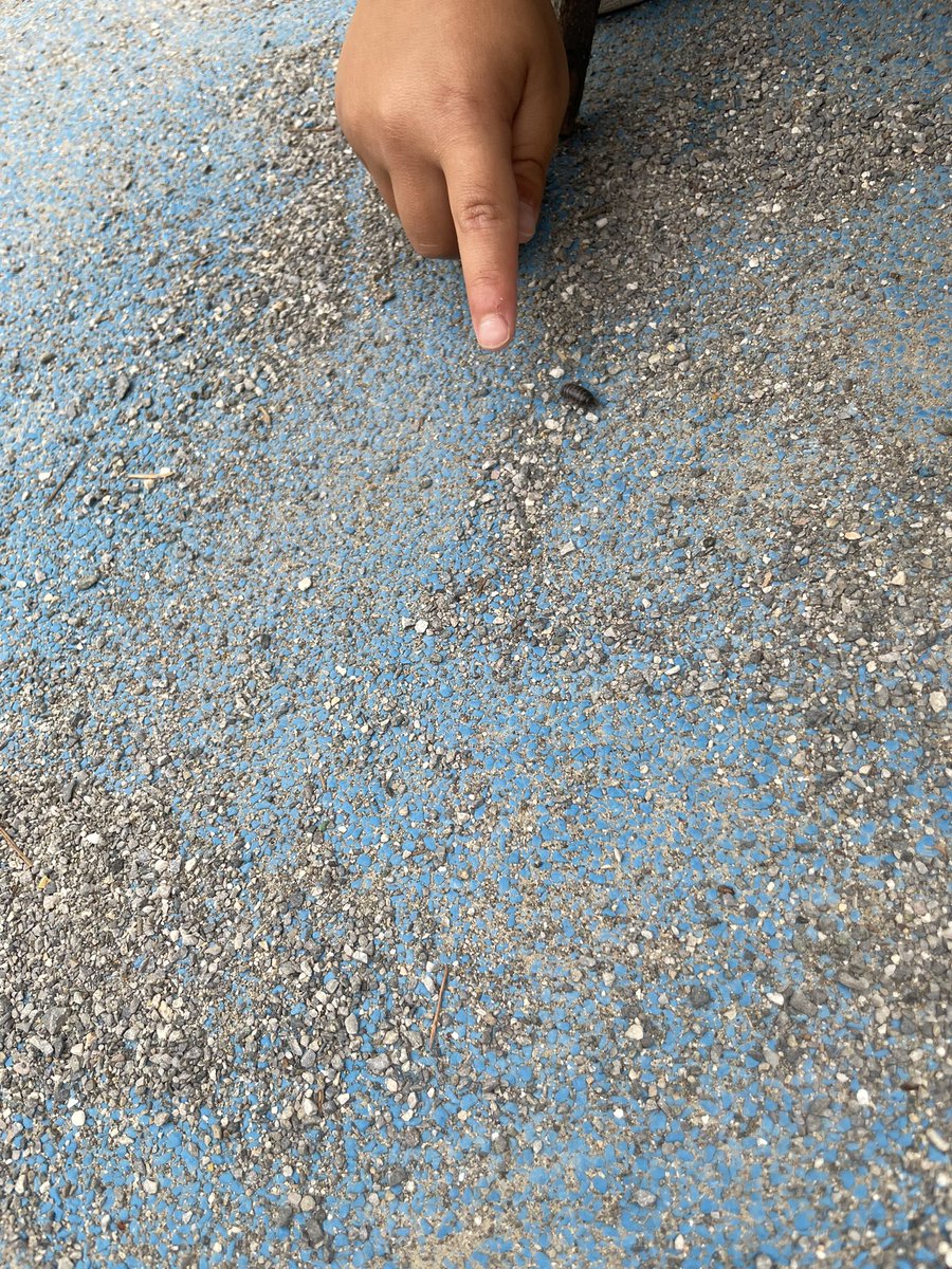 ミチ＠初心者OKゆるワーク🧺 tweet media