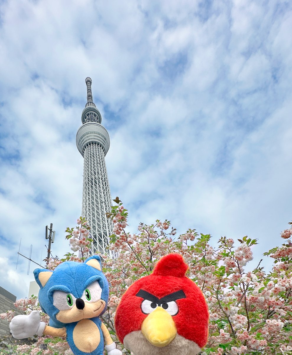 セガ公式アカウント🦔 tweet media