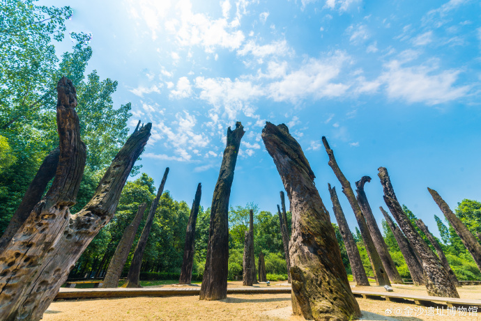 AncientShu's tweet photo. Ebony stands still, while time flows on.
Every grain within the ebony forest bears the mark of centuries—silent, yet enduring.
#Jinsha #JinshaSiteMuseum #Archaeology #AncientCivilization #CulturalHeritage #MuseumLife #HistoryLovers #Relics #AncientShu #TimelessBeauty https://t.co/ucvaWffELU