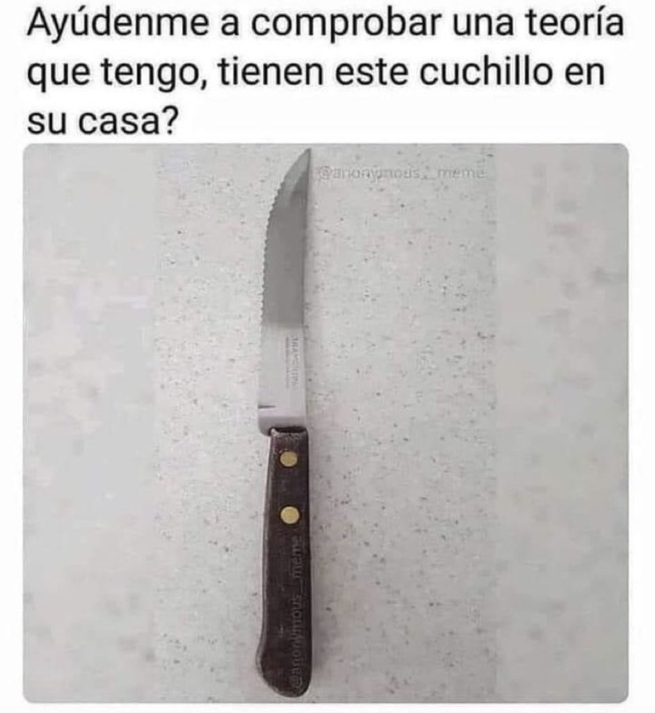 INDI-GENTE tweet media