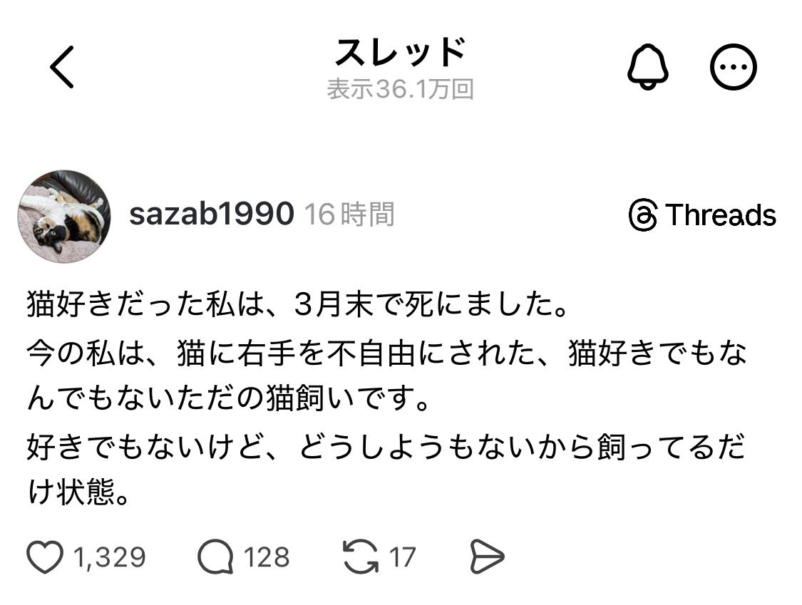 ノノ＠株主優待に埋もれたい tweet media