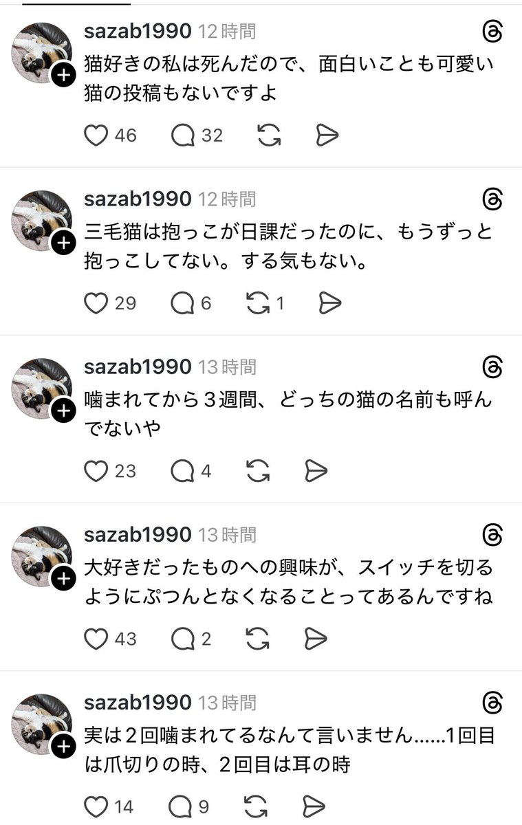 ノノ＠株主優待に埋もれたい tweet media