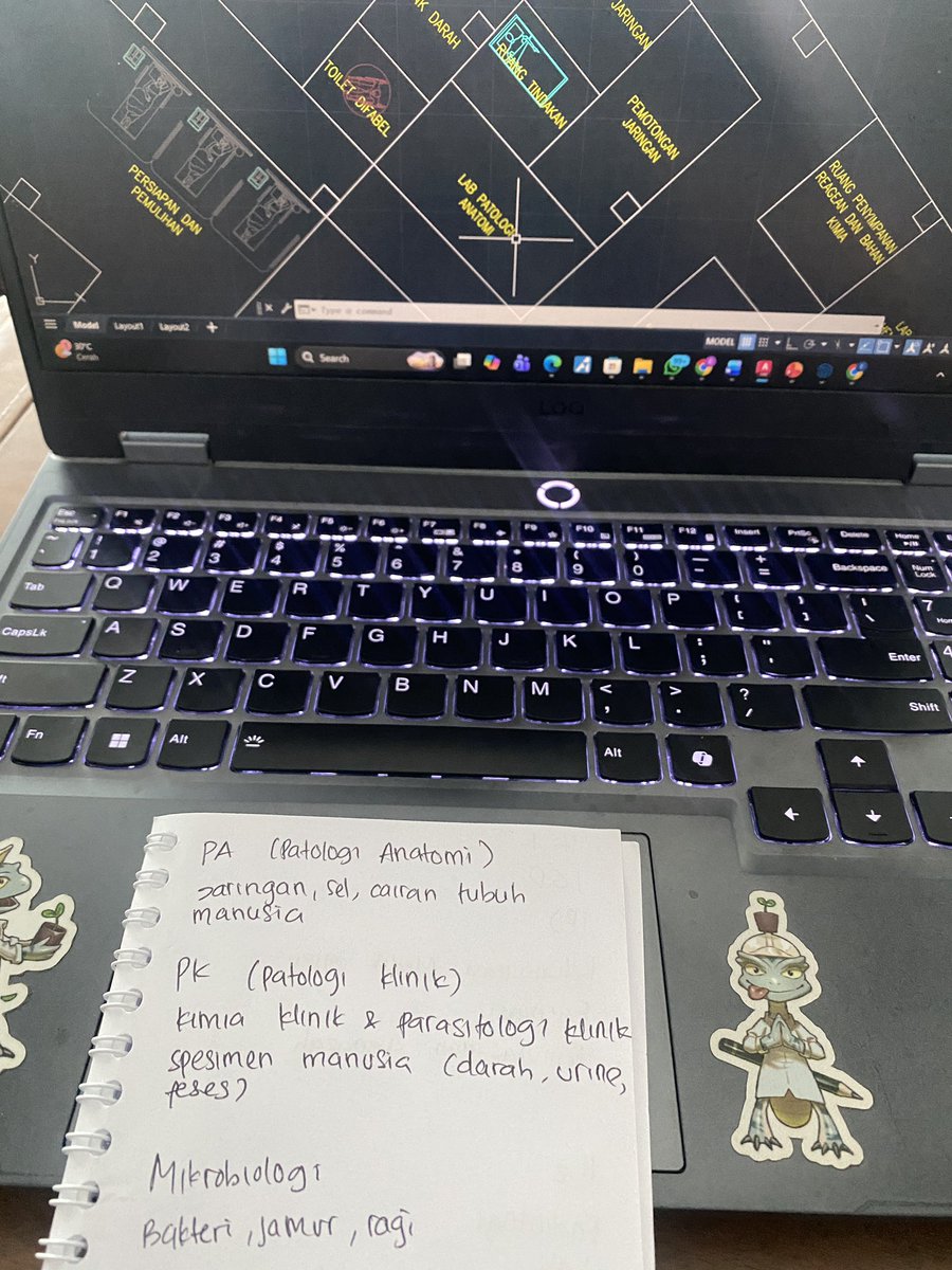 nara.png tweet media