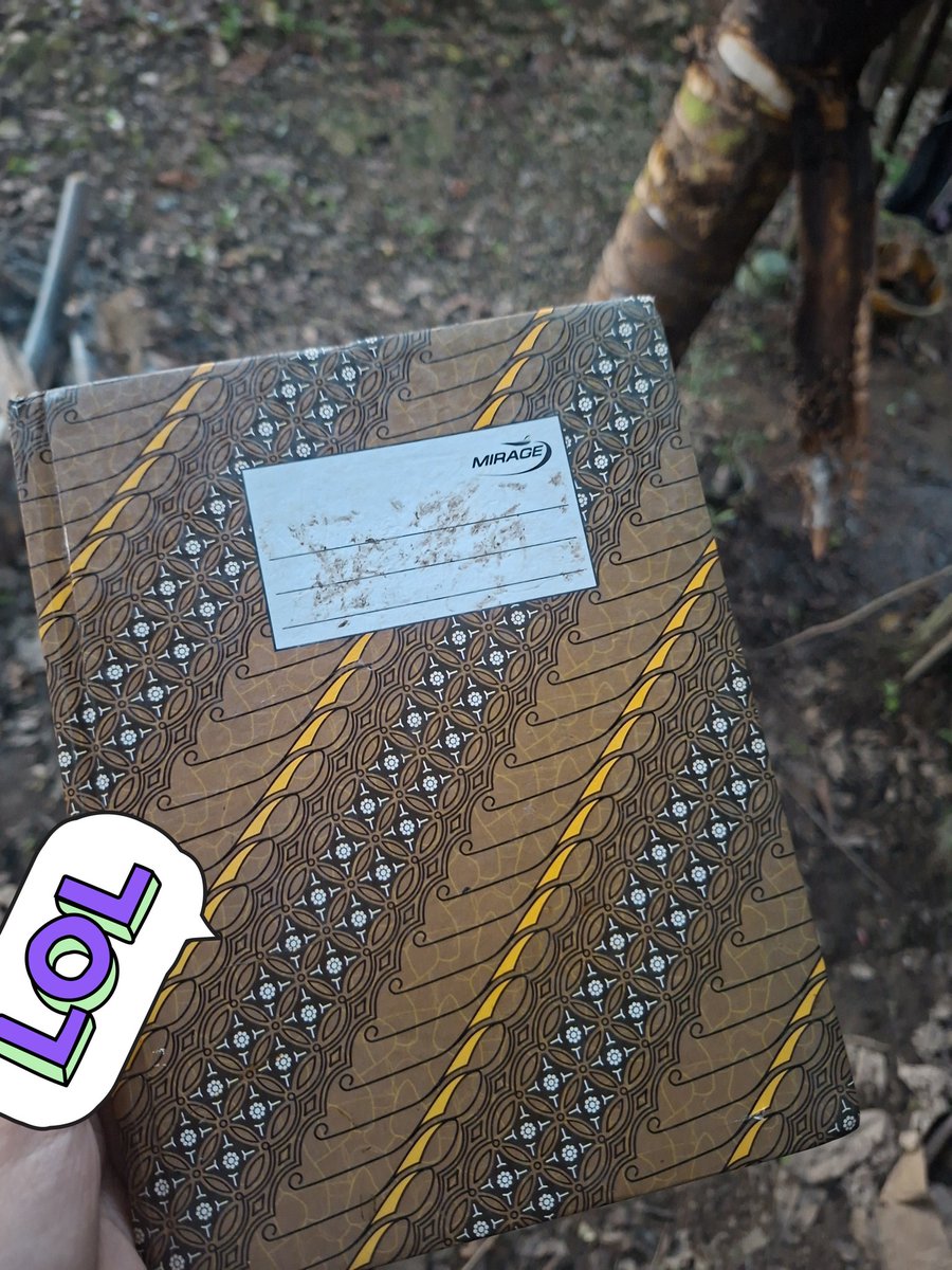 lail donat pink tweet media