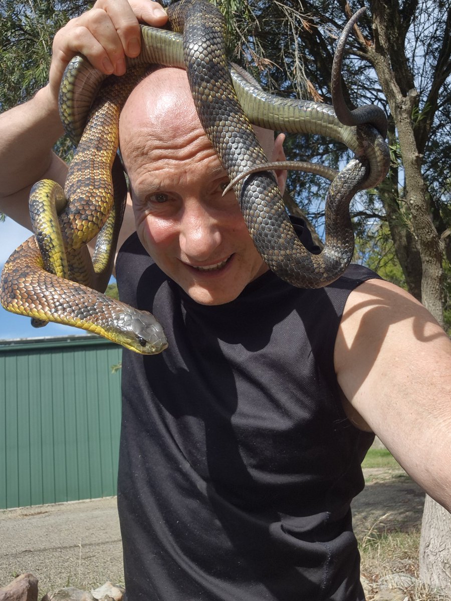 TheSnakeman (@therealsnakeman) / Posts / X