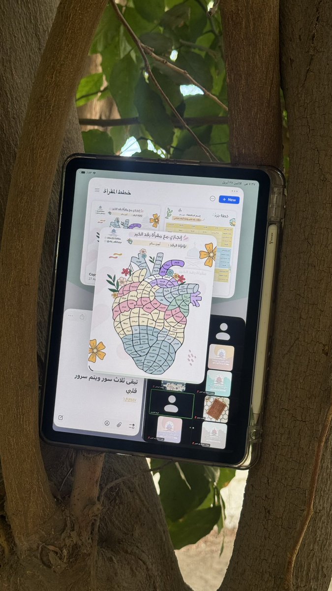 لُجين سالم | غيمة الرِفد tweet media