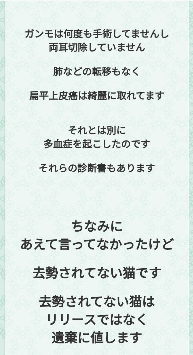 しらす tweet media