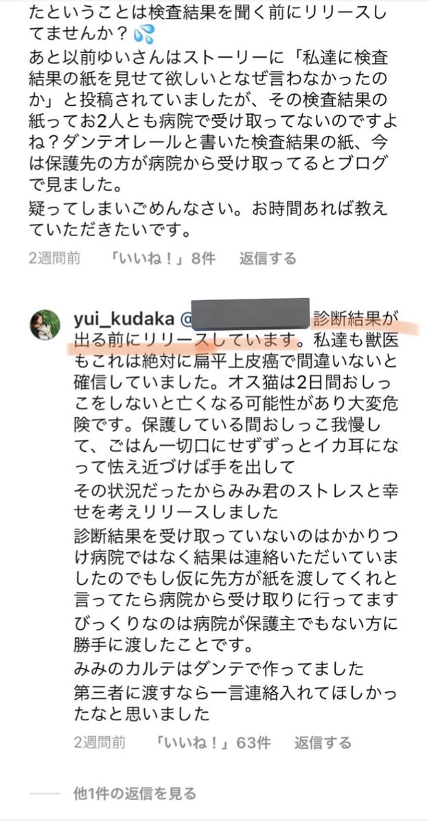しらす tweet media