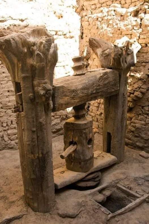 archeohistories's tweet photo. Historians are not entirely sure about the exact origin of olive oil. Many sources agree that humans used olive trees in some form or other as far back as the Upper Paleolithic Age, around 12,000 BC.... 

Many scholars considered that the 
existence of the olive tree dates back to 12th Millennium BC, the origin of its cultivation can be traced to Asia Minor some 6,000 years ago. However, most sources commonly attribute first wave of cultivation and commercialization of olive oil to the Phoenicians who were known to distribute olive oil around the Greek isles as far back as 16th Century BC. At first, distribution was largely centered around Crete and its surrounding islands, but by 12th Century BC, olive oil had made its way into mainland Greece and Macedonia before passing on to Egypt. The Phoenicians opened up a number of commercial routes all along the coasts of the Mediterranean Sea. Historically, olive oil was used for many purposes including religious rituals, medicines, fuel in oil lamps, soap-making, and skin care application.

In ancient Egypt, the olive tree and fruit played very important roles in sacred rituals. Olives were destined as food for the pharaohs in their transit to the afterlife, as Egyptians possessed knowledge of the preserving power of this golden liquid. The proof of this is that the great pharaohs were embalmed and anointed with olive oil, so that not only their spirits but also their bodies would travel the long path to eternity in the best possible state of preservation. When the tomb of pharaoh, Tutankamon was discovered in 1922 (as recently as the mid-XX century), the atmosphere was still scented with the aroma of the olive oil used in his embalmment. Alkalies and olive oil were the ingredients in the formula for the soap used by the Egyptians.

The earliest evidence of the olive tree in Egypt can be found in a relief from Dynasty XVIII (1570-1345 BC). Documents reveal that Pharoah Ramses III (1197-1165 BC) promoted cultivating olive trees and offered the oil extracted from olives in Helipolis to the Sun God Ra. Many lamps discovered in the tombs of pharaohs show that olive oil was widely used in Egyptian temples. Wall paintings often showed olive trees that grew in ancient Egypt and olive branches have been found in Tombs to accompany the dead.

Ancient Egyptians used olive oil extensively including it in their diet, lighting, medicine and for rituals. The existence of olive groves in Thebaid, Alexandria and above all in the Fayoum oasis is recorded in documents from the Graeco-Roman period when olive cultivation expanded rapidly. Nonetheless, it is believed that many of the olives that were consumed in Ancient Egypt were imported from Greece. Scholars believe the ancient olive oil was produced by a process where olives were placed in woven mats and squeezed, with the oil collected in vats.

Olive oil was an important merchandise for trade, olive tree, olives and their oil being treated as a form of wealth, involving known planting methods, harvesting and production: the cultivation implied furrowing the stony soil of the island with a two-pronged plough, and using an irrigation system with ditches and canals. After five years, trees reached production age, and at 20, their most productive period was attained. The harvest was conducted in a simple manner, beating the trees with poles, and then raking to gather up the fallen olives (in many European regions this process remains unchanged). The fruits were soaked in hot water, crushed and placed in barrels of water. When the oil rose to the surface, water was drained to leave the oil.

📷 : A 18th Century CE, Oil Press (Olive Squeezer) in the deserted medieval town of Al-Qasr, Dakhla Oasis, Egypt.

#archaeohistories