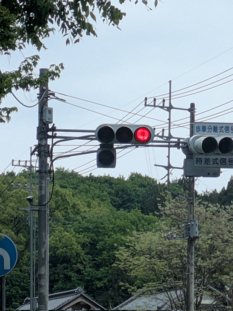 電信撮影隊 tweet media