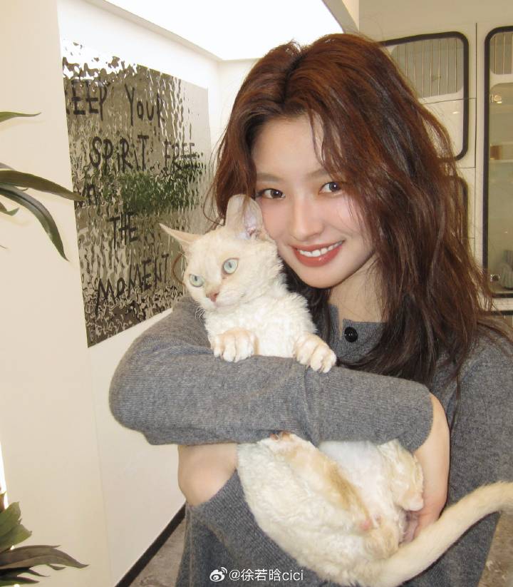 徐若晗cici ♥︎ tweet media