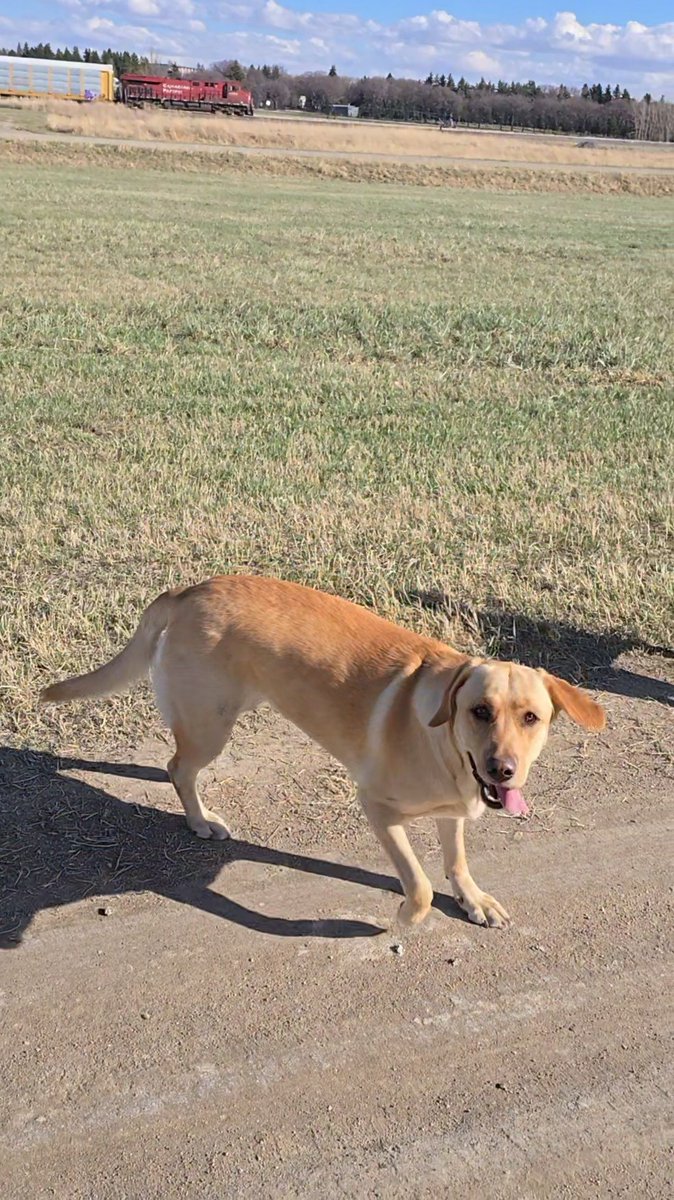 prostar187's tweet image. Happy #TongueOutTuesday 😋