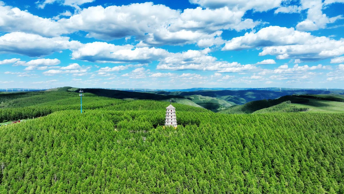 China Xinhua News tweet media